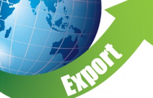 import_export-copy