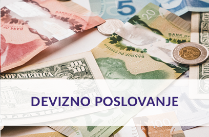 Devizno poslovanje